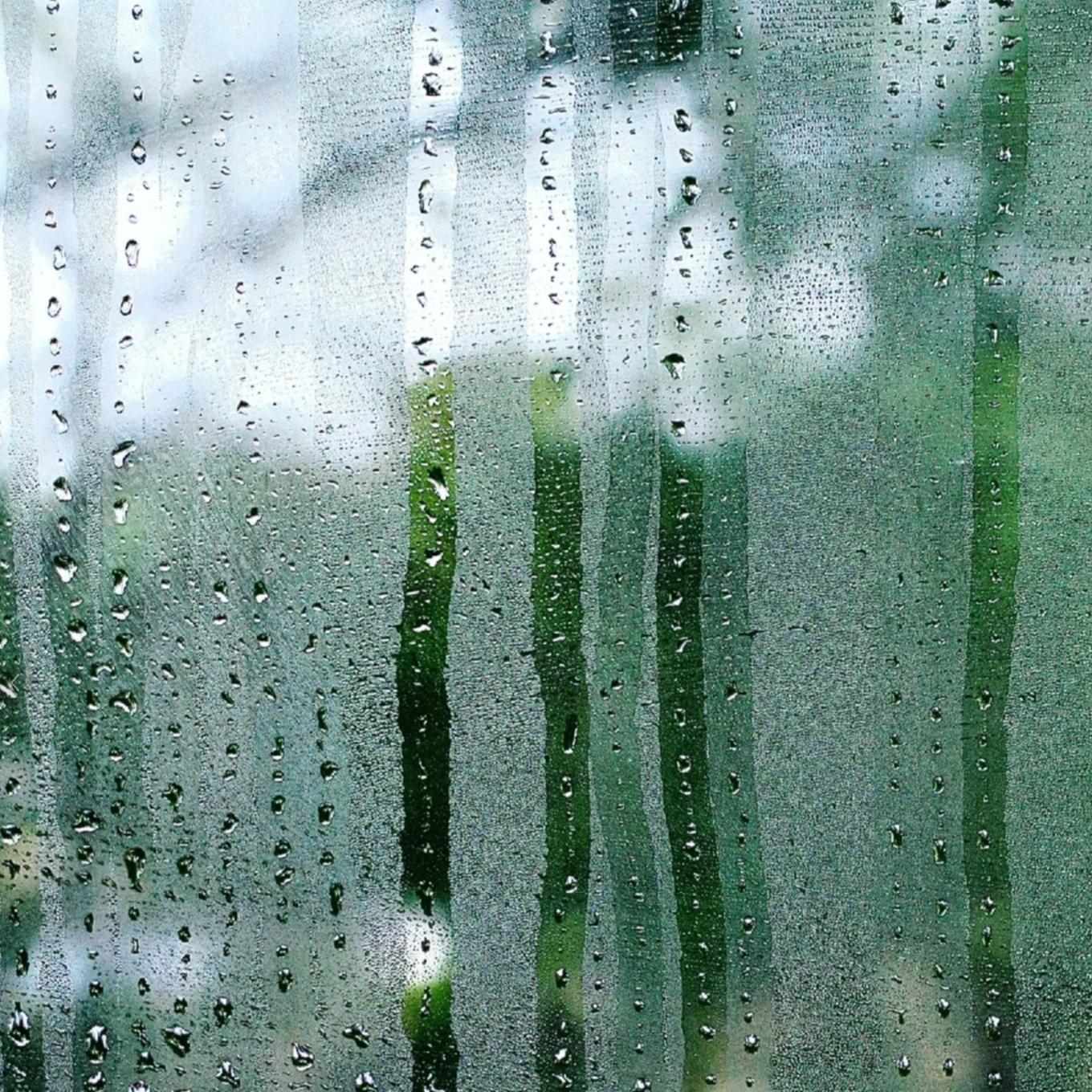 那些文字里的骤雨与潮湿感