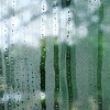 那些文字里的骤雨与潮湿感
